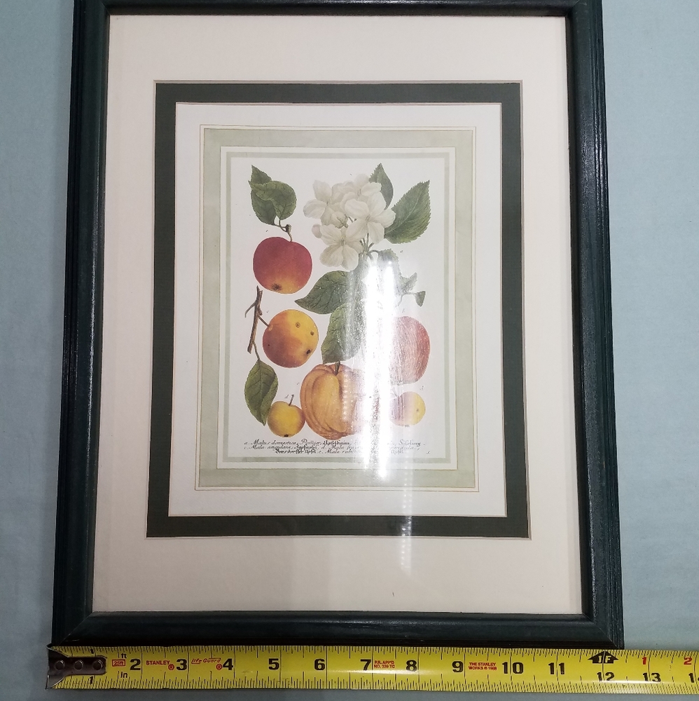 Apple Print - Picture 4 of 6
